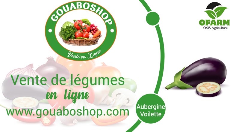 Bannière aubergien